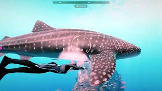 Beyond Blue - Opening Song! (Gameplay)