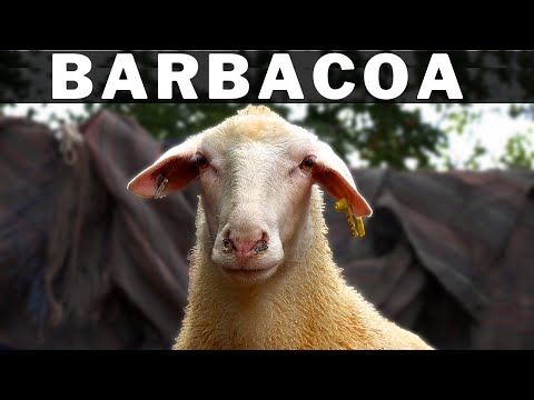Video: ¿Todavía hacen fritos a la barbacoa?
