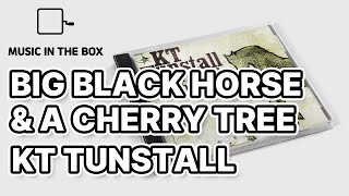 Black Horse And The Cherry Tree - KT Tunstall (Music box version)