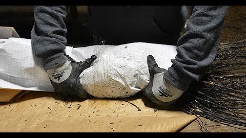 How we ship bare root plants