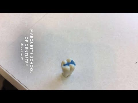 hcop-pre-dental-vlog-#1