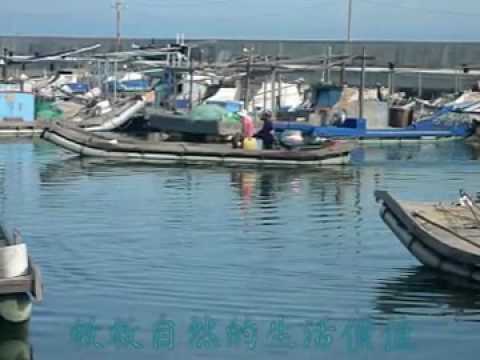 白海豚之歌