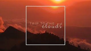 Acex - Trip to the clouds