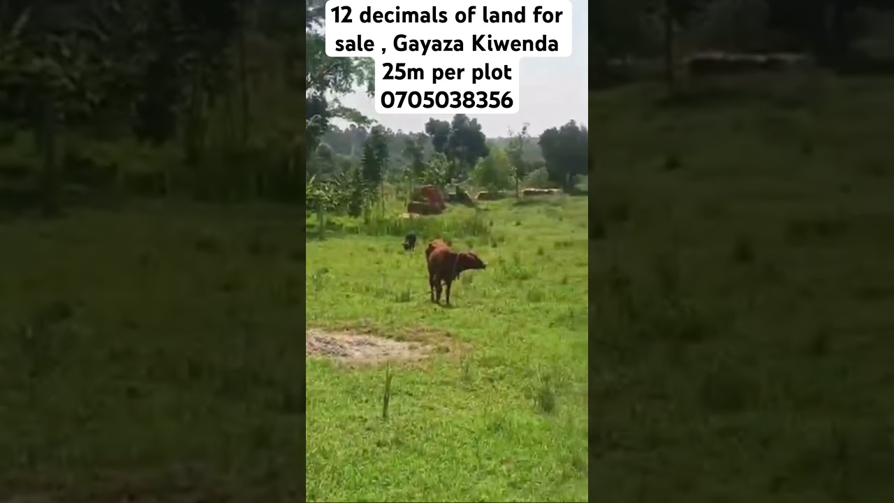 Prime Plots for Sale – Gayaza Kiwenda