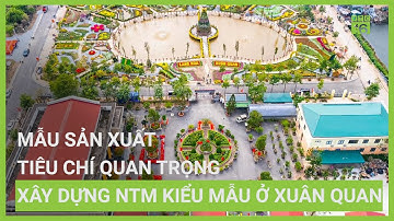 Mẫu sản xuất – Tiêu chí quan trọng trong xây dựng NTM kiểu mẫu ở Xuân Quan | VTC16