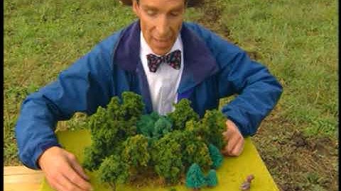 Bill Nye The Science Guy - S05E06 - Life Cycles - Best Quality