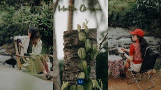 Matte Green Presets - Lightroom Mobile Preset Free DNG & XMP | Moody Green Presets Free Download screenshot 4