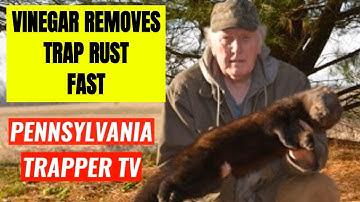 Vinegar Removes Trap Rust Fast