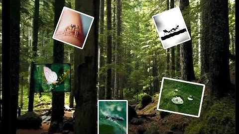 3D Photo Tracking in Kinemaster & Picsart in Bangla || Video editing tutorial || Kinemaster ||