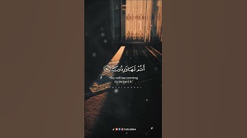 القرآن الكريم ┇ تلاوة من سورة الأنبياء ┇قاري بلال دربالي