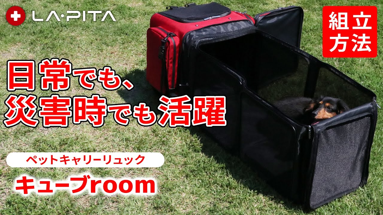 LA・PITA キューブRoom ペットキャリーリュック ケージ maxresdefault.jpg
