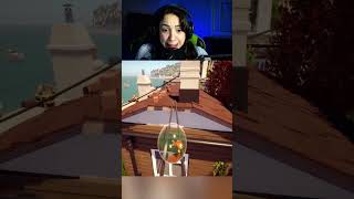 Peixinho dourado em perigo #gameplay #foryou #fy