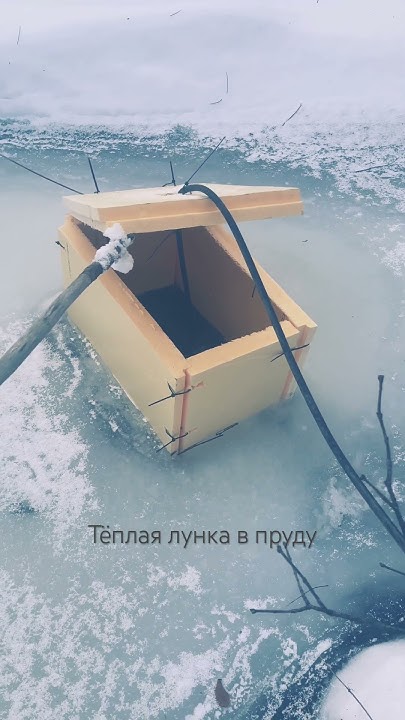 Теплая лунка в пруд. #пруднадаче #пруд #зимовка #осетр - YouTube