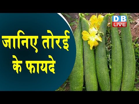 वीडियो: तोरी के साथ साथी रोपण - तोरी के साथ क्या अच्छा होता है