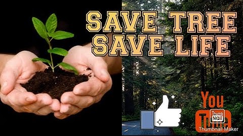 Stop Motion Vedio "🌳🙂 Save Trees 🙂🌳"