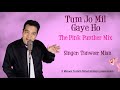 Tum Jo Mil Gaye Ho (The Pink Panther Mix) | Tanweer Mian | Latest Song 2020 | Original Arrangement