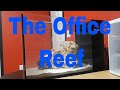 The Office Reef - Innovative Marine Nuvo Fusion Peninsula 14