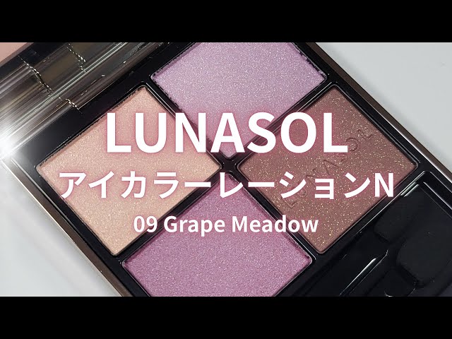 LUNASOL 2025秋コスメ】アイカラーレーションN／09 グレープメドウ