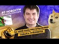 Новости пчеловодства #3 / Выставка в Днепре, 200$ за опыление, собака-пчеловод