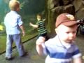 Fish at zoo