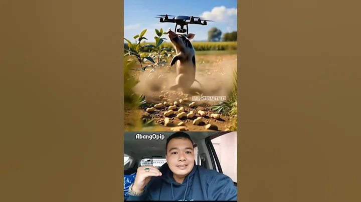 Drone to kill harmful wildboar #shorts #villagelife #smartfarming #rurallife #wildboar #hunting