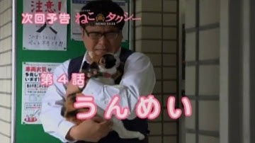 ドラマ『ねこタクシー』第4話予告
