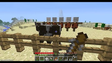 Minecraft: Mod showcase-Balkon