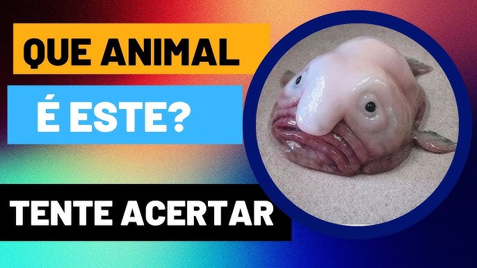 12 Perguntas e Respostas sobre os Animais (Nível Fácil) - Quiz Mundo Animal  –Quiz Responda Rápido #6 