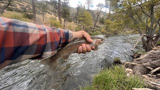 Kern River  Golden Trout Wilderness