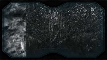 STALKERSOUP Collector Advanced - part 51