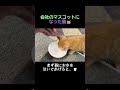 トコトコついて来た子猫、会社のマスコットになれるでしょうか？
