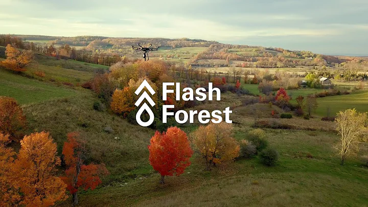 Flash Forest: Using Drones to Plant 1 Billion Trees