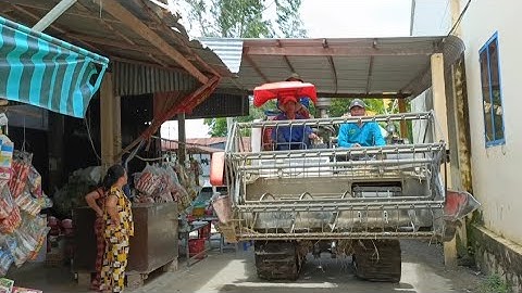 máy cắt 70 độ hợp số chạy rất nhanh cắt lúa sập rất lẹ tập 142 #maibangtv