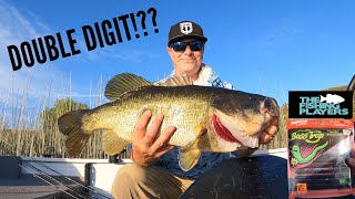 I Caught a Giant Bass but was it a Double Digit!?!-Personal Best at Castaic Lake