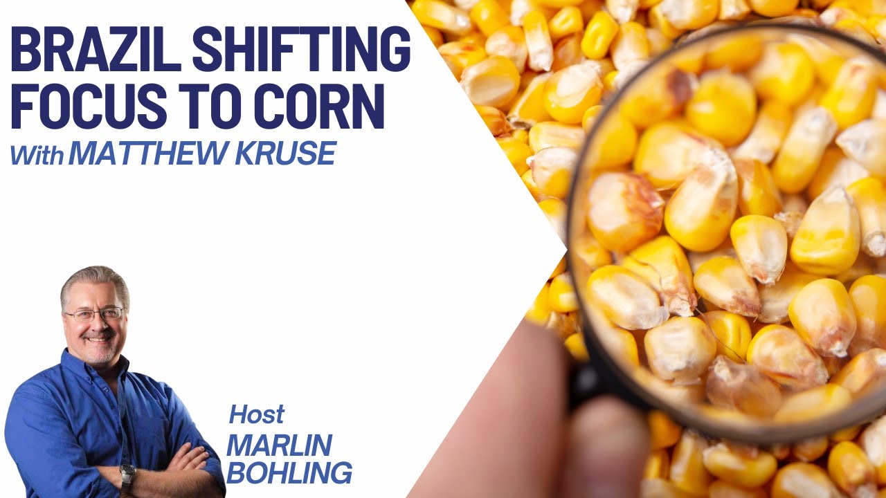 Brazil Shifting Focus To Corn With Matthew Kruse - YouTube