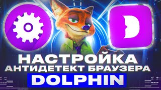 Настройки Dolphin Anty (Лучший браузер для абуза и арбитража)