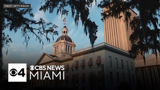 A closer look into the insurance industry and the profits behind it | Facing South Florida