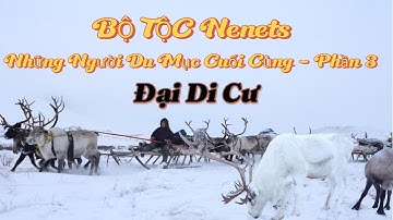 Cuộc Sống SINH TỒN Ở Nơi -50°C - Khám Phá Cuộc ĐẠI DI CƯ  Của Người Nenets Phần 3