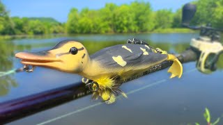 this GIANT DUCK LURE caught a RIVER MONSTER!