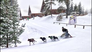 Traczer camp on snow by Igor Tracz 394 views 1 year ago 1 minute, 46 seconds