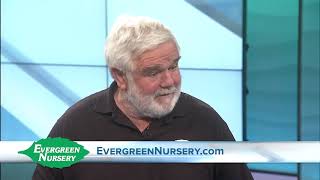 Evergreen Nursery is the place for both an amazing experience and a great plant for your home