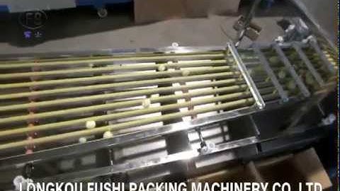 Queensland nut Chestnuts longan walnut sorter sorting grading machine