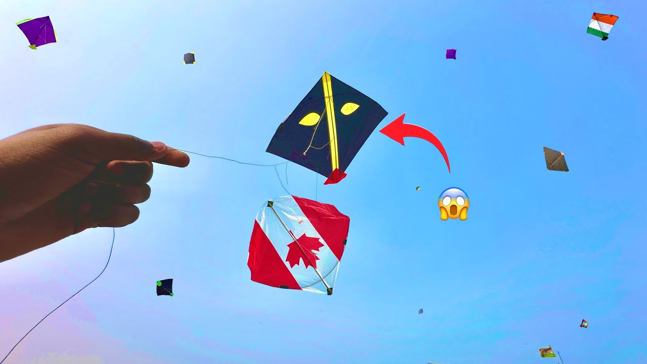 Kite Cacthing 😱 On Other Roof Kite Looting | Kite Catch | Kites 