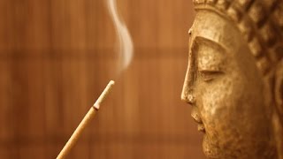 Pause, Relax and Open - Guided Meditation