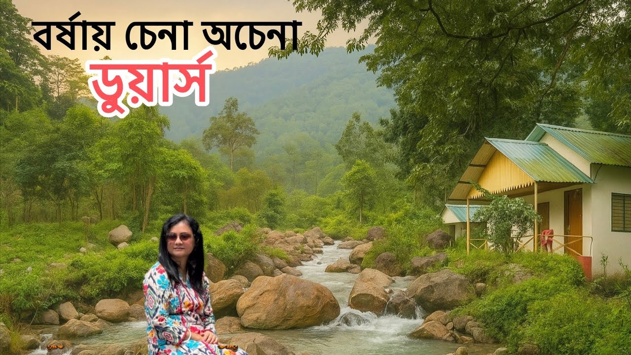 বর্ষার ডুয়ার্স || নদী পাহাড়ের কোলে এক রাত || Dooars Tour || Dooars  || wbfdc Jhalong River Camp