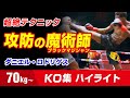 49戦48勝 ダニエル・ロドリゲス Dani Rodriguez Knockout highlights