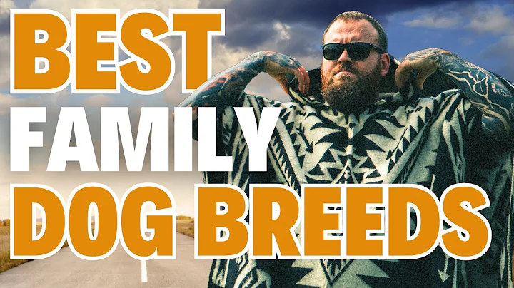 The BEST Family Dog Breeds! thumbnail