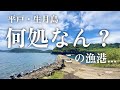 【謎の漁港・海中映像・長崎県平戸市生月島】此処はどこ？御崎漁港かな？よく分からないけどめっちゃ綺麗な釣り場の漁港！#224 福岡釣部in 福岡・糸島・佐賀・北九州・玄界灘・長崎・平戸・鷹島・唐津・呼子
