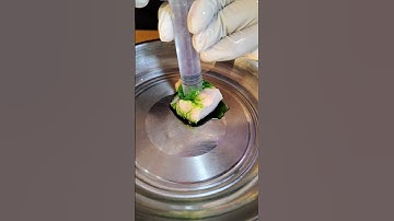 Amazing Science Experiment #experiment #tricks #science #m4tech #craft #diy #facts #viral