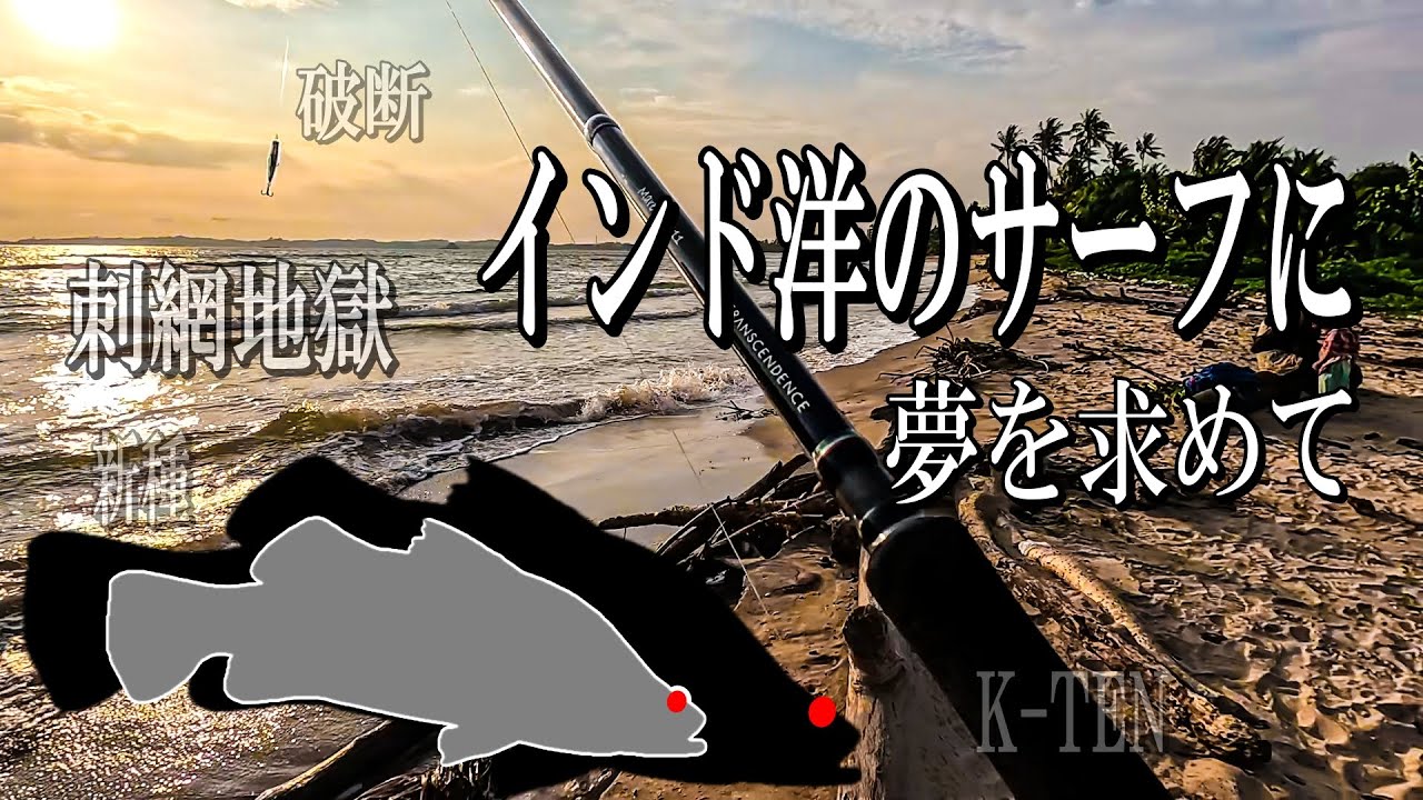 世界のサーフに挑戦！シーバススタイルで憧れのシーパーチを狙った３晩。